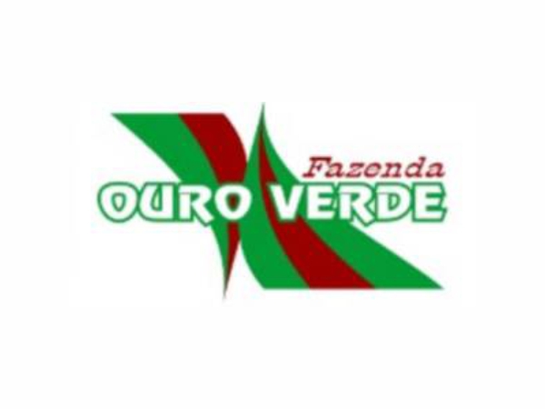 Cliente 7